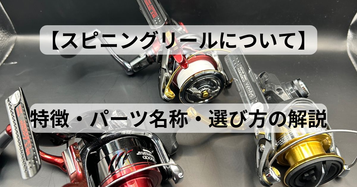 スピニングリールについて】特徴・パーツ名称・選び方を解説 