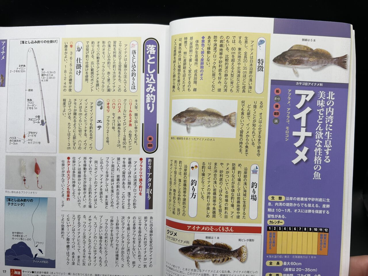 海の釣魚・仕掛け大事典 その他 水中解説でよくわかる 海の釣魚・仕掛け